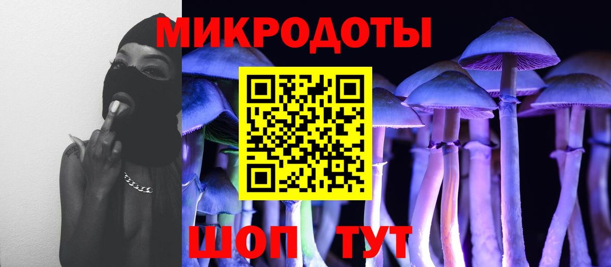 где продают наркотики  Вход с VPN  Вольск  Галлюциногенные грибы мицелий  Псилоцибиновые грибы Psilocybe 