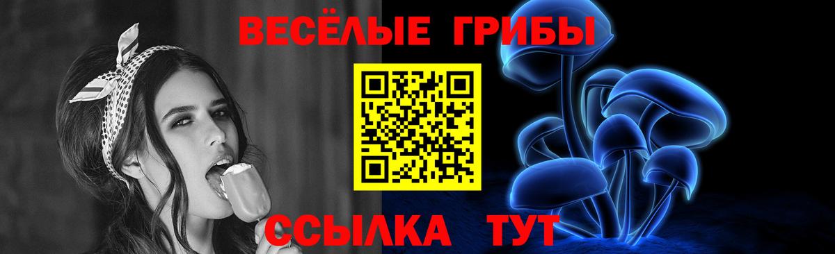 Псилоцибиновые грибы прущие грибы Вольск